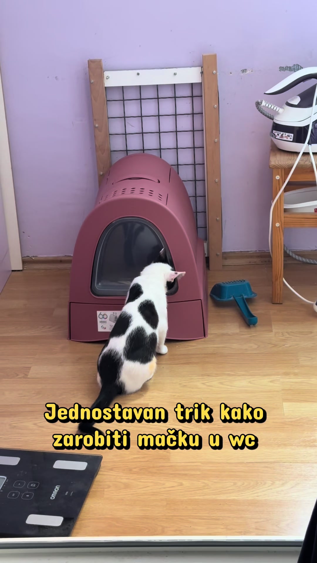@Srećko & Rista 🐈⬛