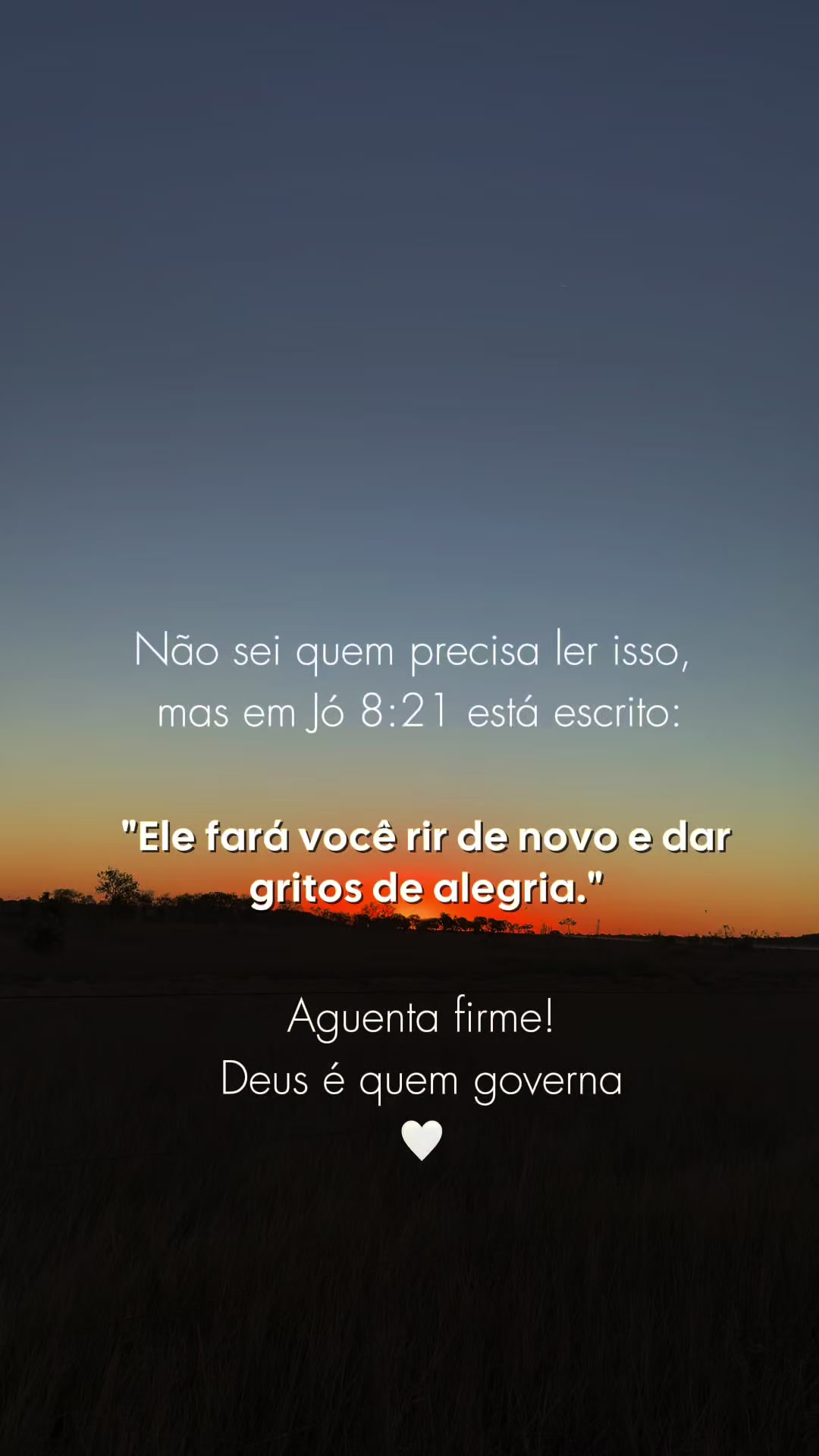 @Suzana Calixto