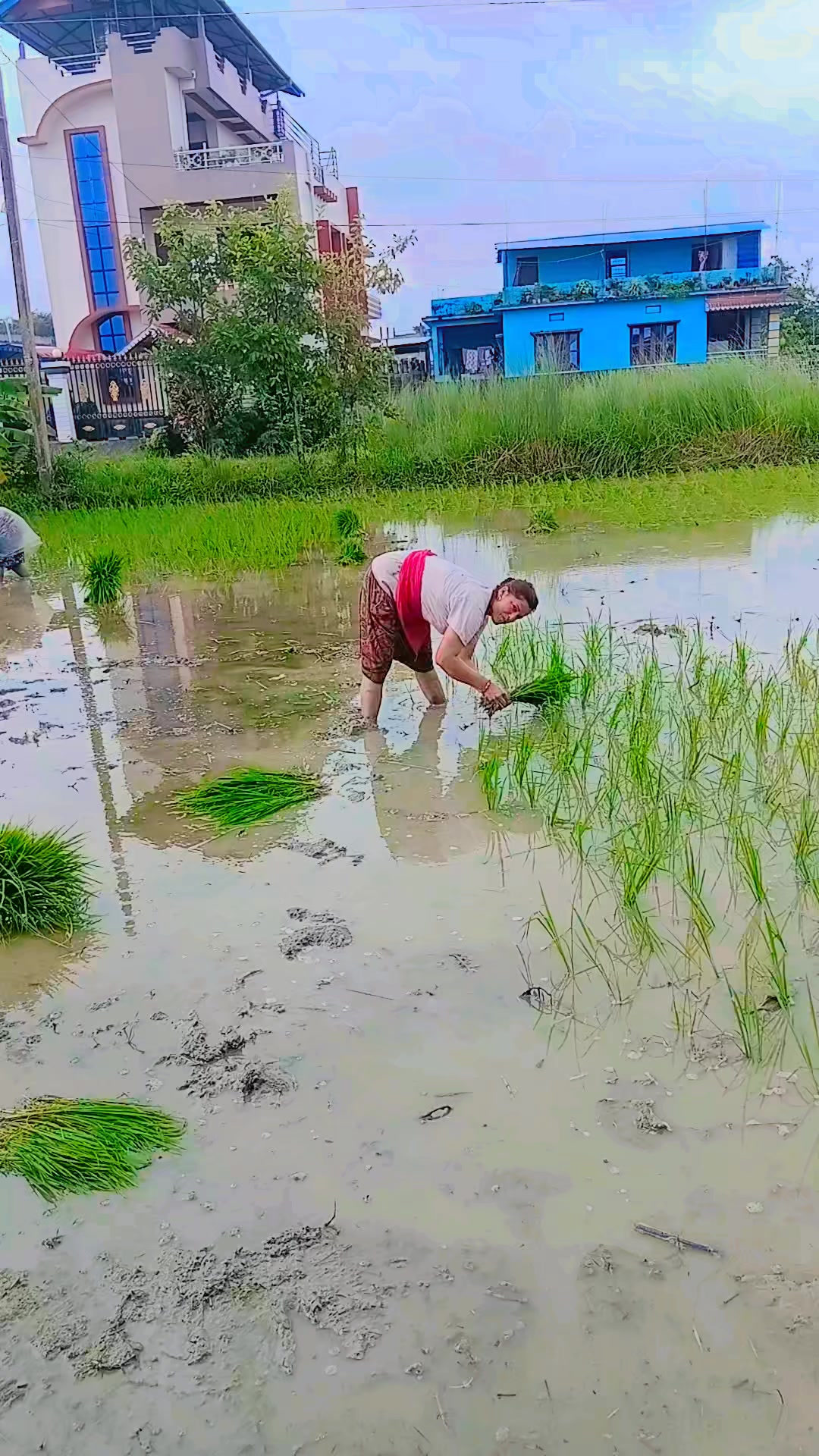 @Manisha Basnet