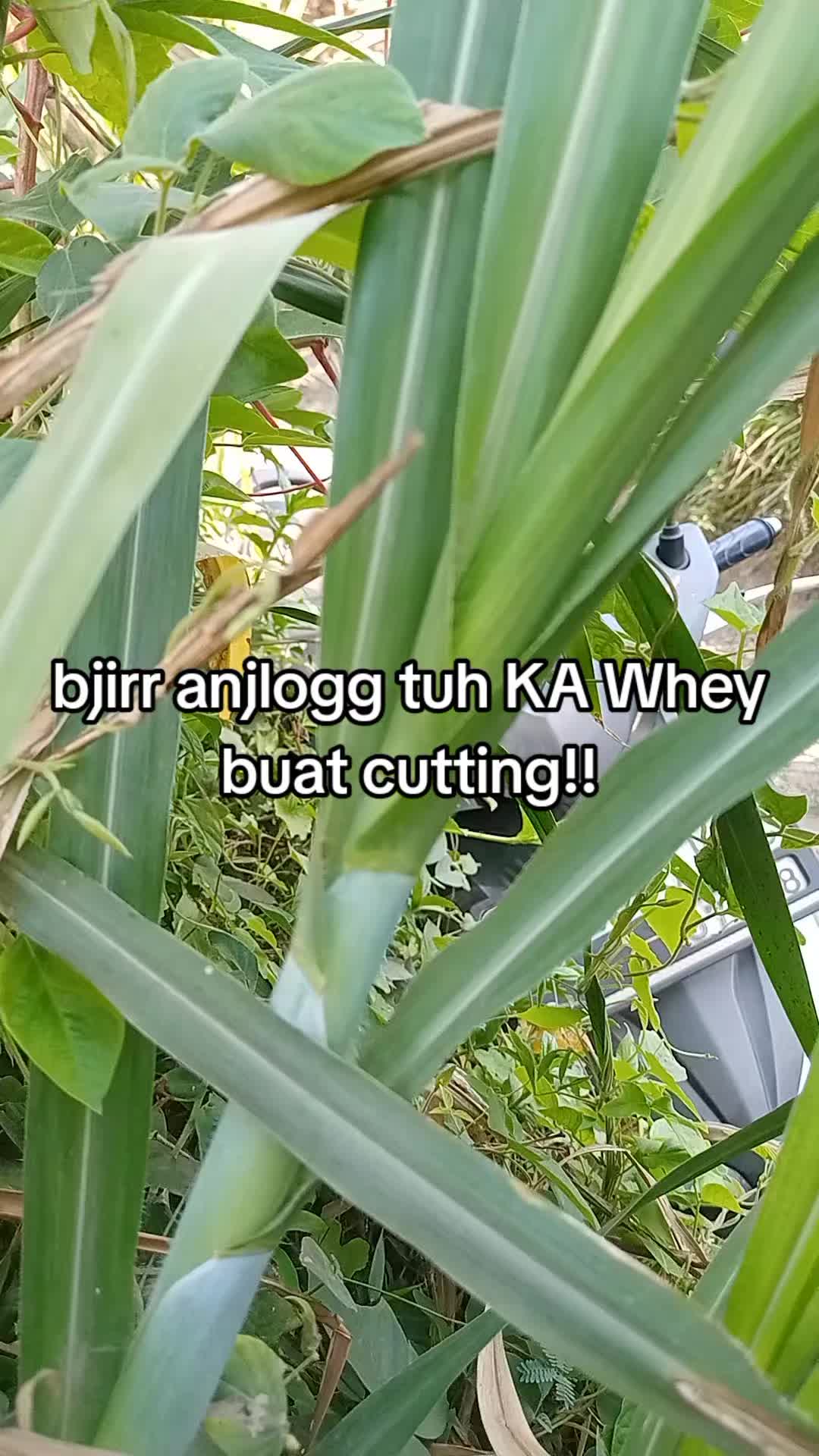 @smuabarang_ada