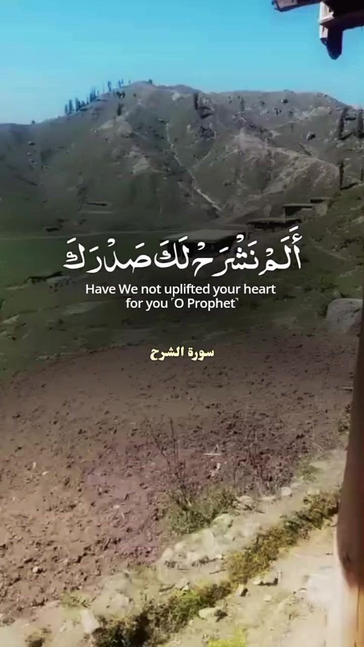 @🕊️Manawar shah🕊️