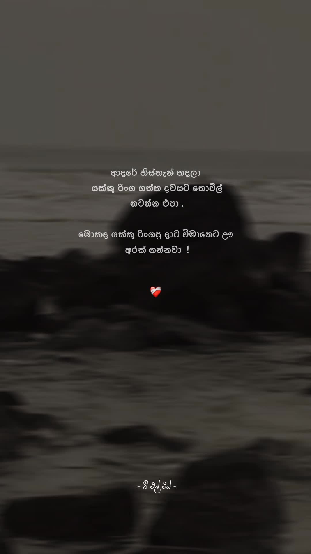 @𝒯𝒽𝑒 𝐵𝓁𝓈 ♡ !