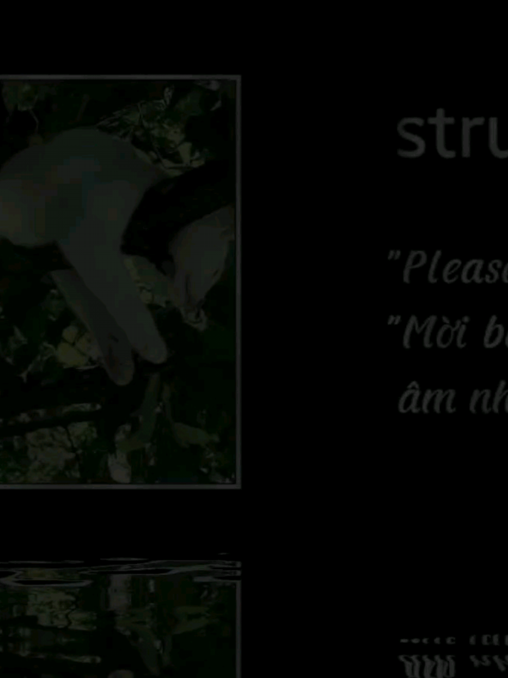 @𝚆𝚊𝚗𝚐 𝚃𝚑𝚊𝚗𝚑 ♬