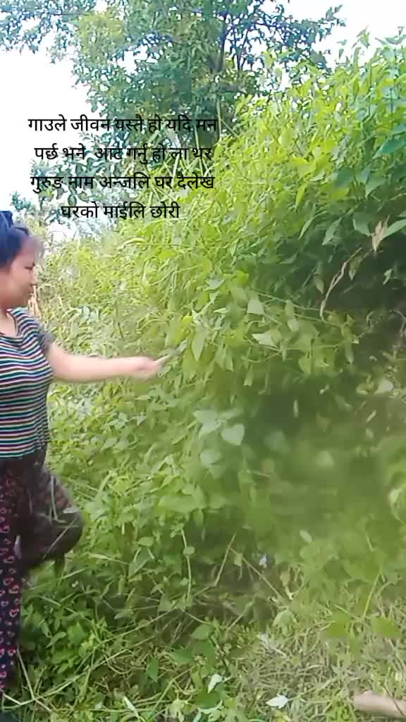 @टुटेको मन सानु गुरुङ