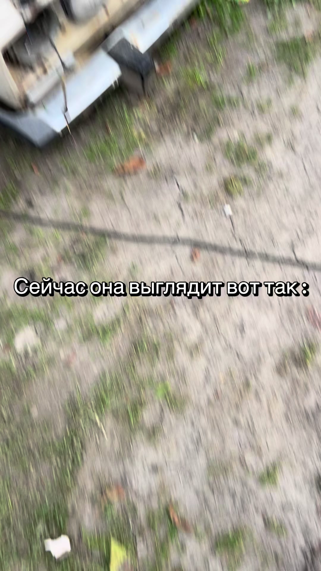 @Tuaevski_15