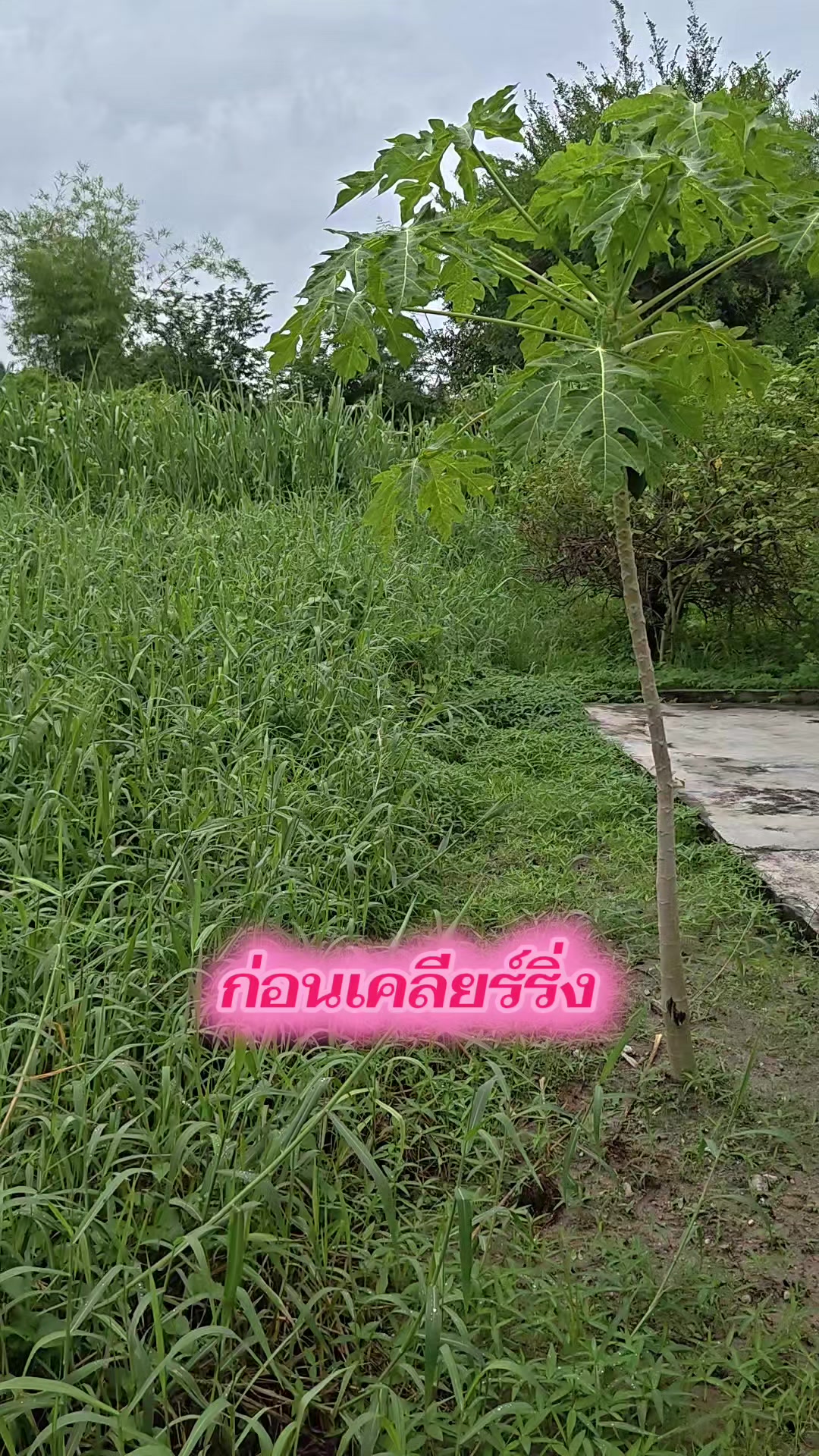 @น้าแอ๊ด ชลบุรี