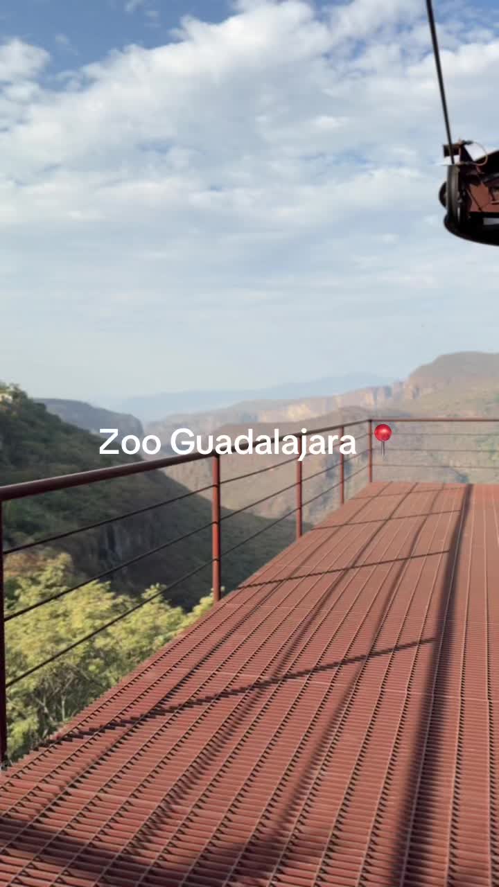 @gina.mirandaa