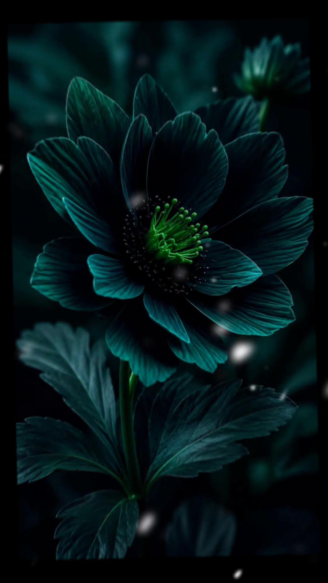 @🎧🕊️🅐︎🅛︎🅞︎🅝︎🅔︎🕊️🎧