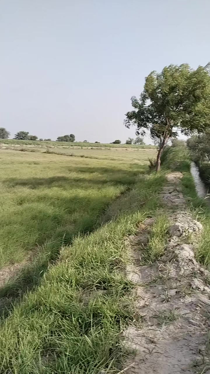 @Mukesh kumar kolhi