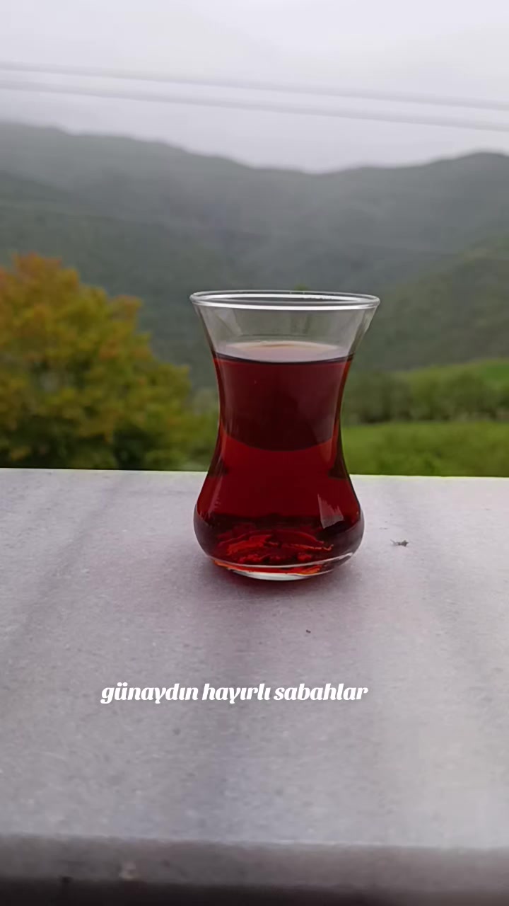 @DURSUN AKG&Uuml;L55