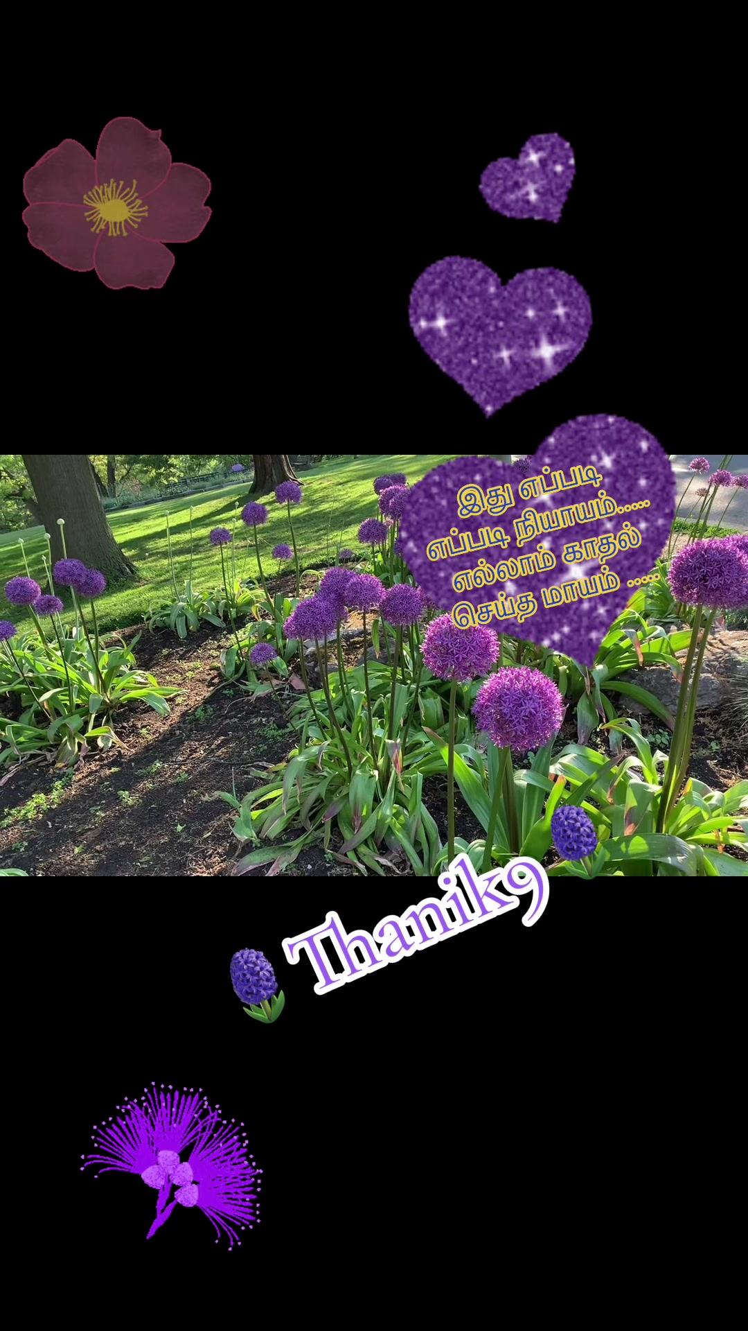 @Thanik