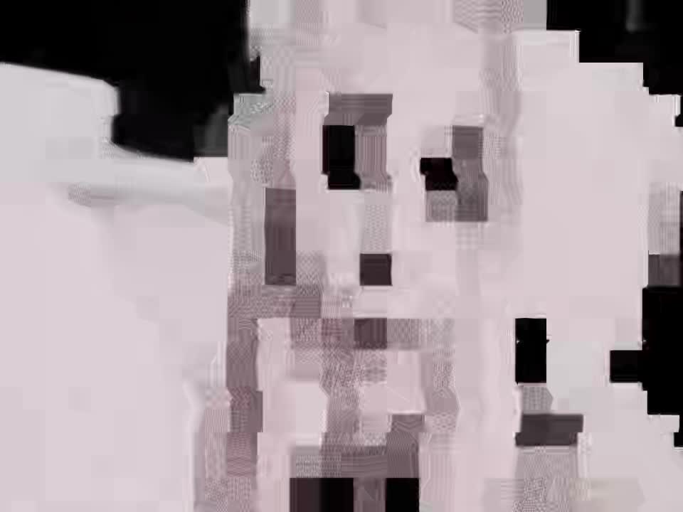@wentis🪖#1161