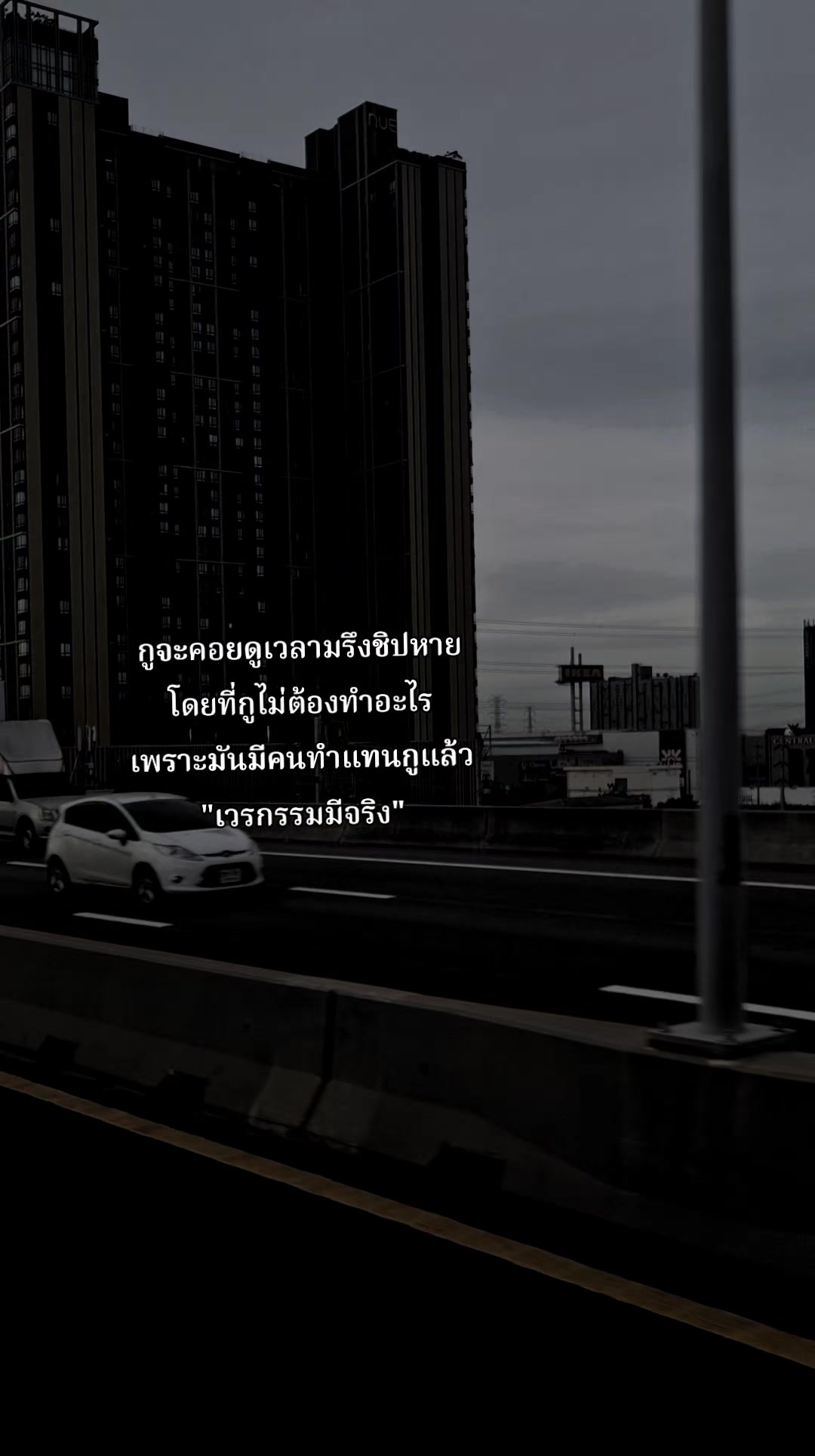 @สตอรี่'ยัยเจ้าเนื้อ≽^• ༚ • ྀི≼