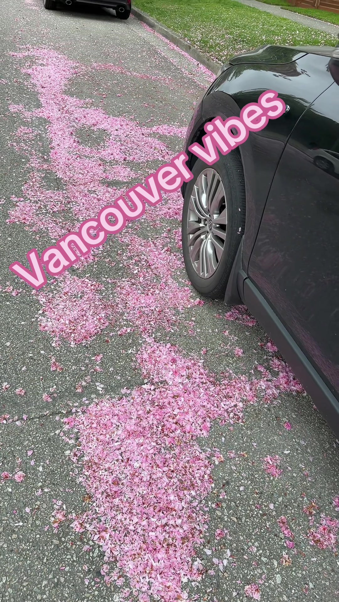 @Goodvibesonly