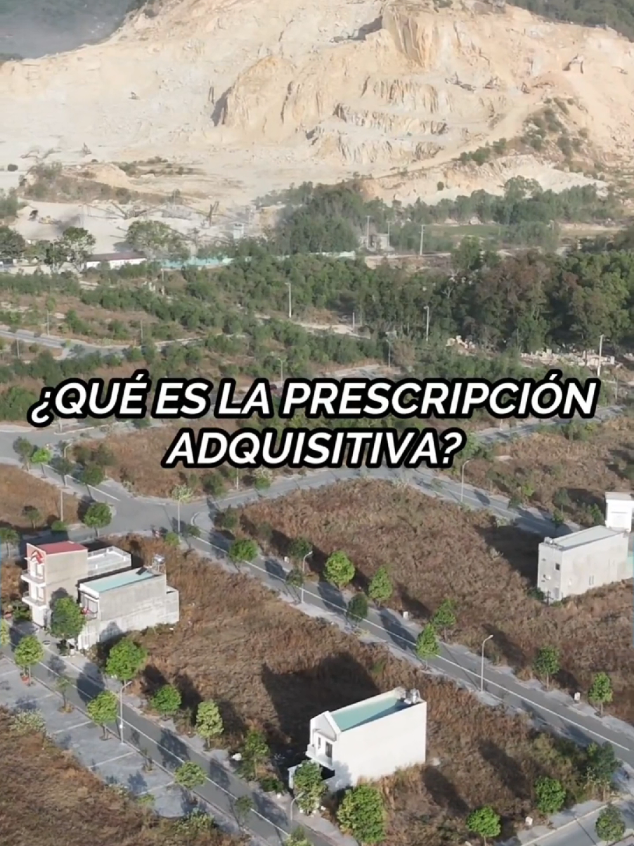 @Flores Abogado