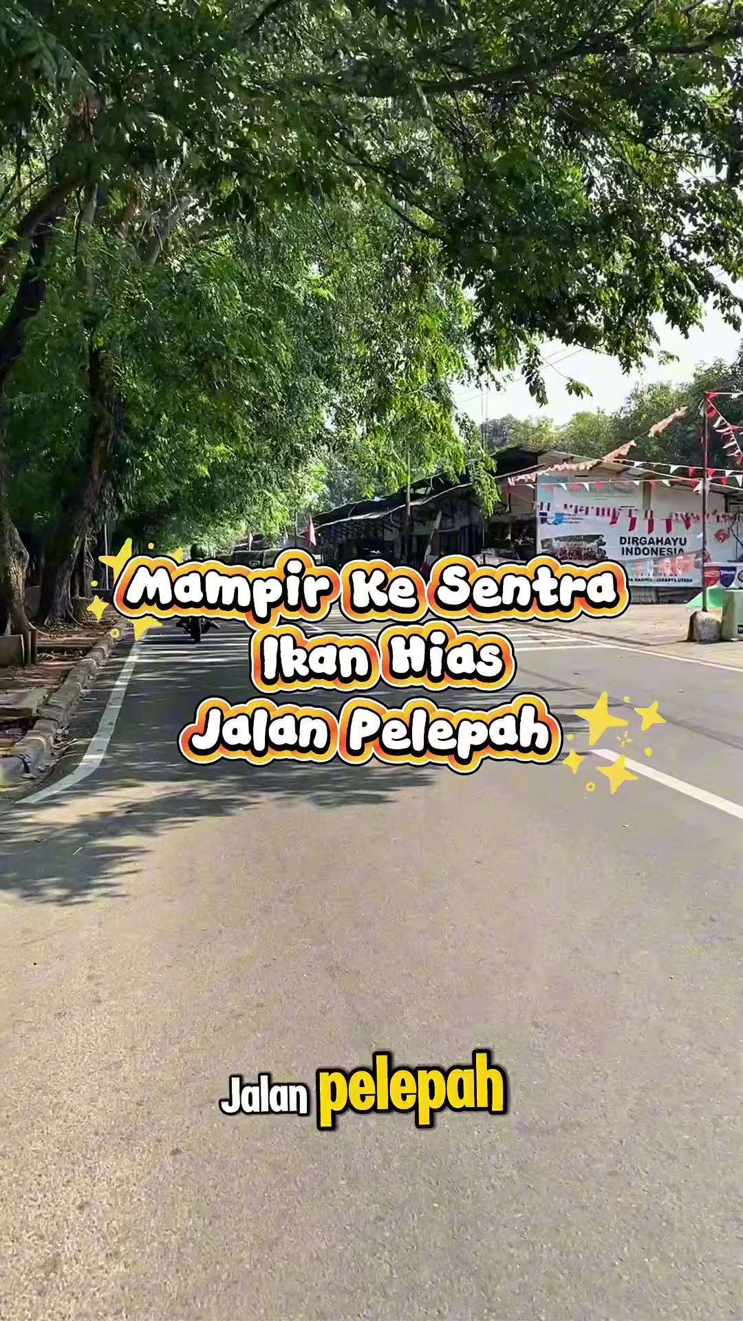 @Piara ikan di galon