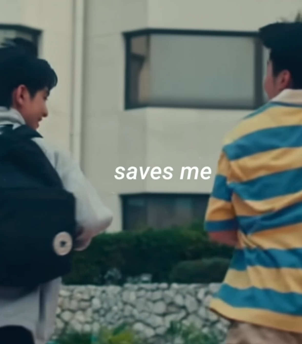 @seani ⋮ ⌗ ┆ 𝟏𝟎𝟏