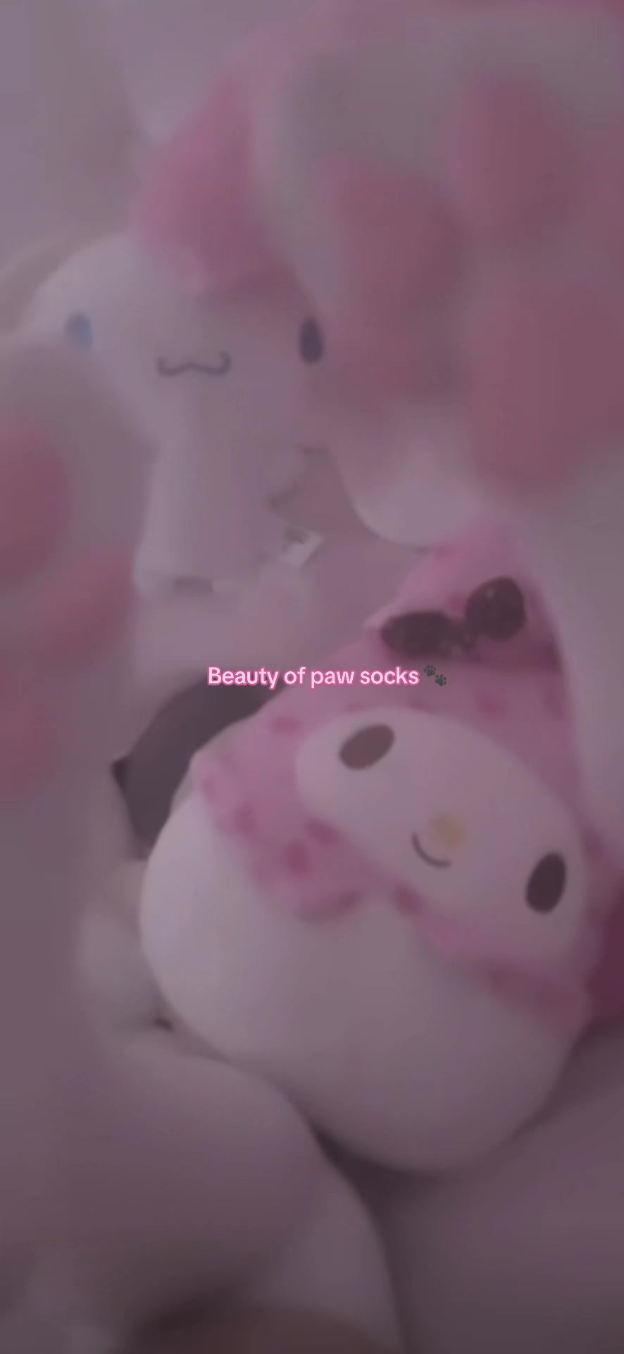 @˚ꨄ︎ 𝐬𝐥𝐲 𝐤𝐢𝐭𝐭𝐢 ꨄ︎˚