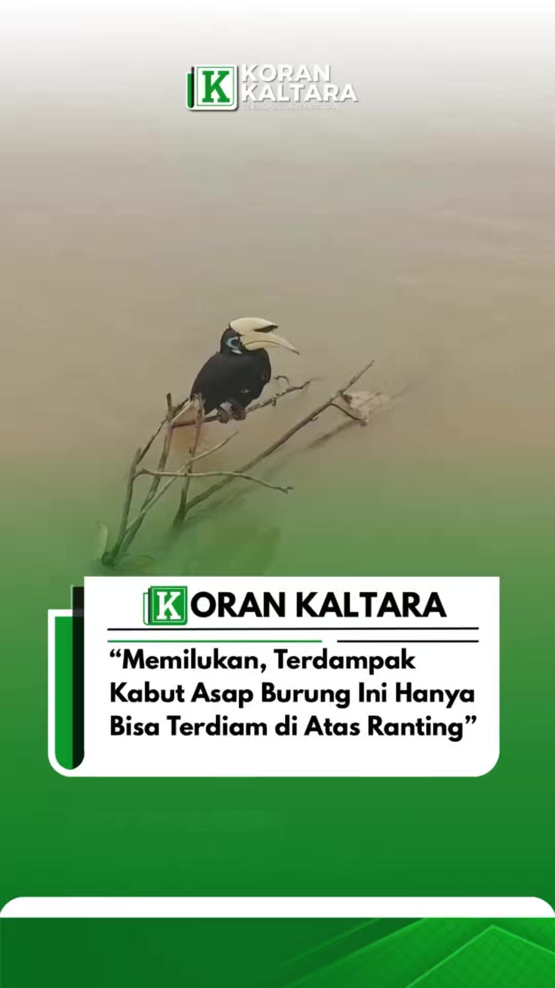@korankaltara