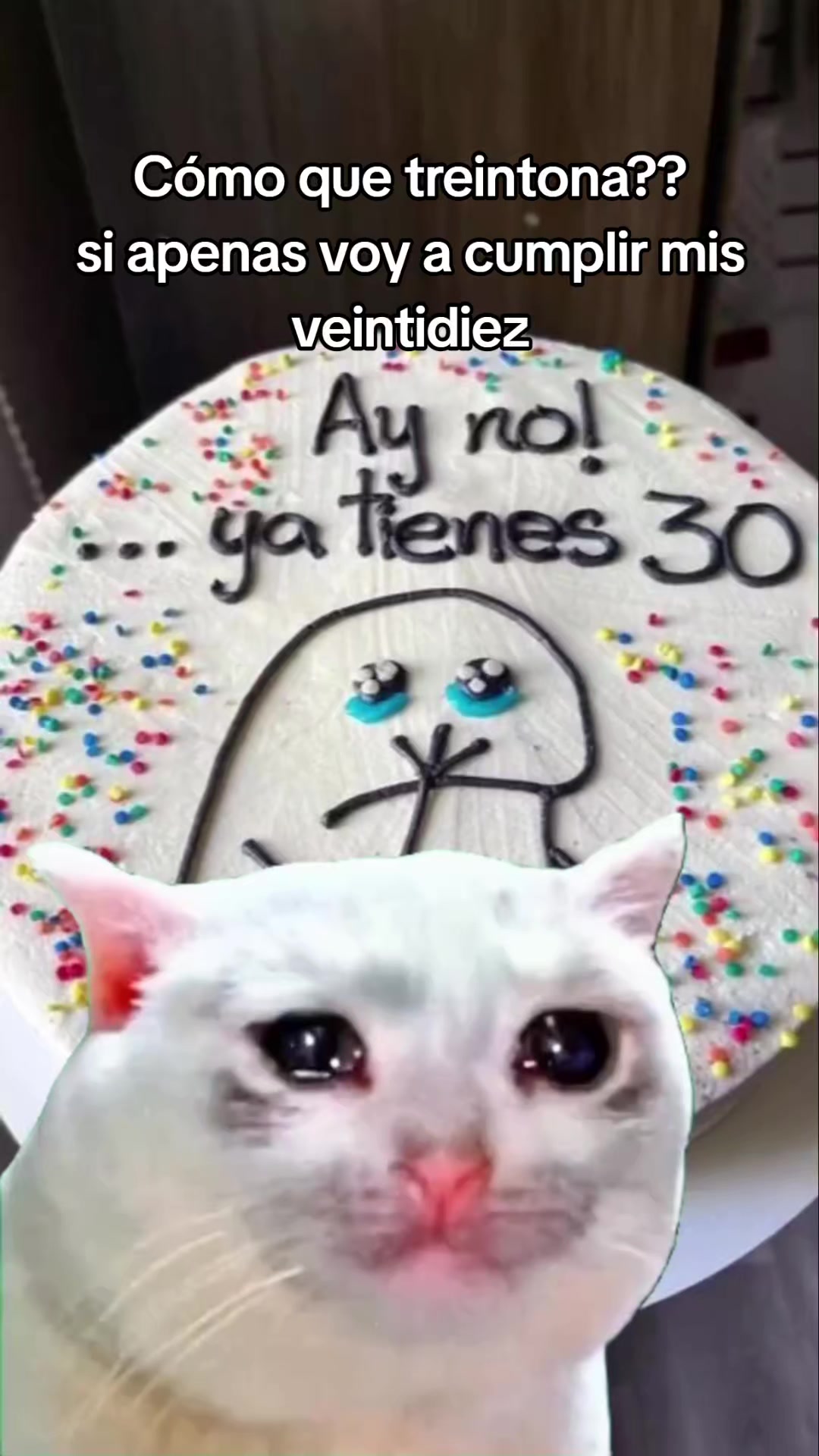 @ersa