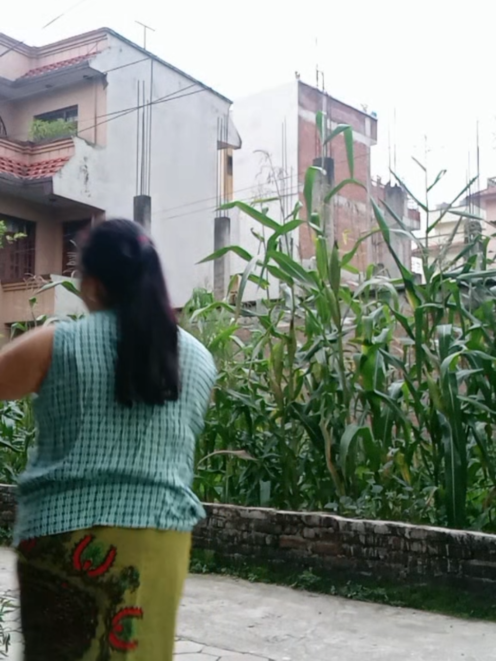 @muna subedi