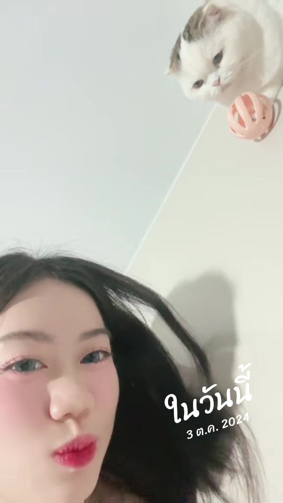 @𓊆🎀𓊇ถินถินเหมียว⋆。‧˚ʚ🧸ɞ˚‧。⋆