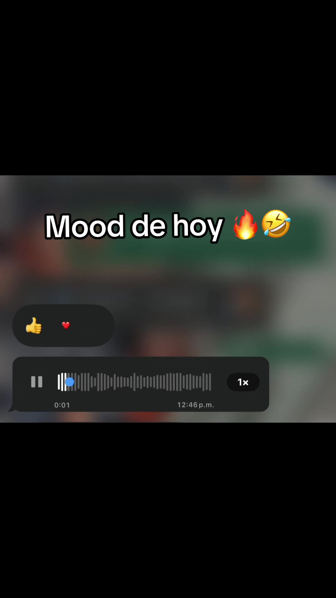 @pelofino.18