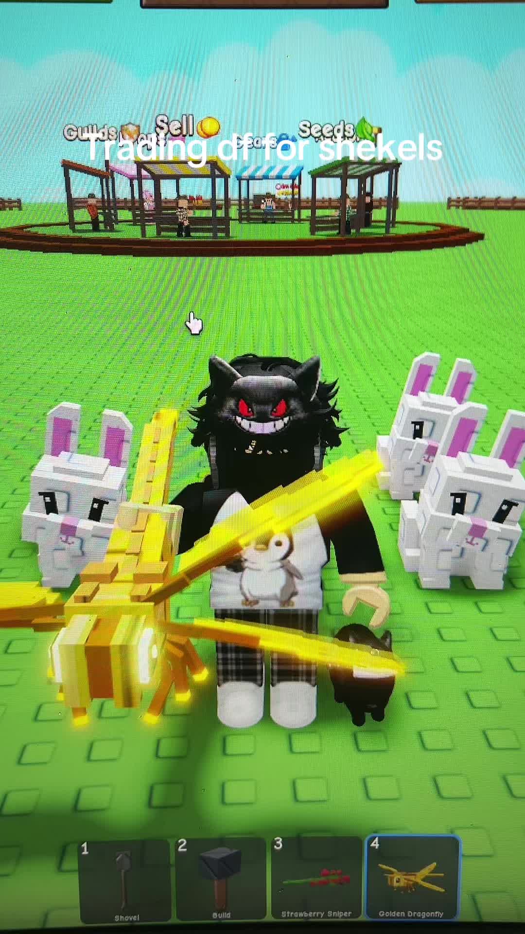 @00editz4u