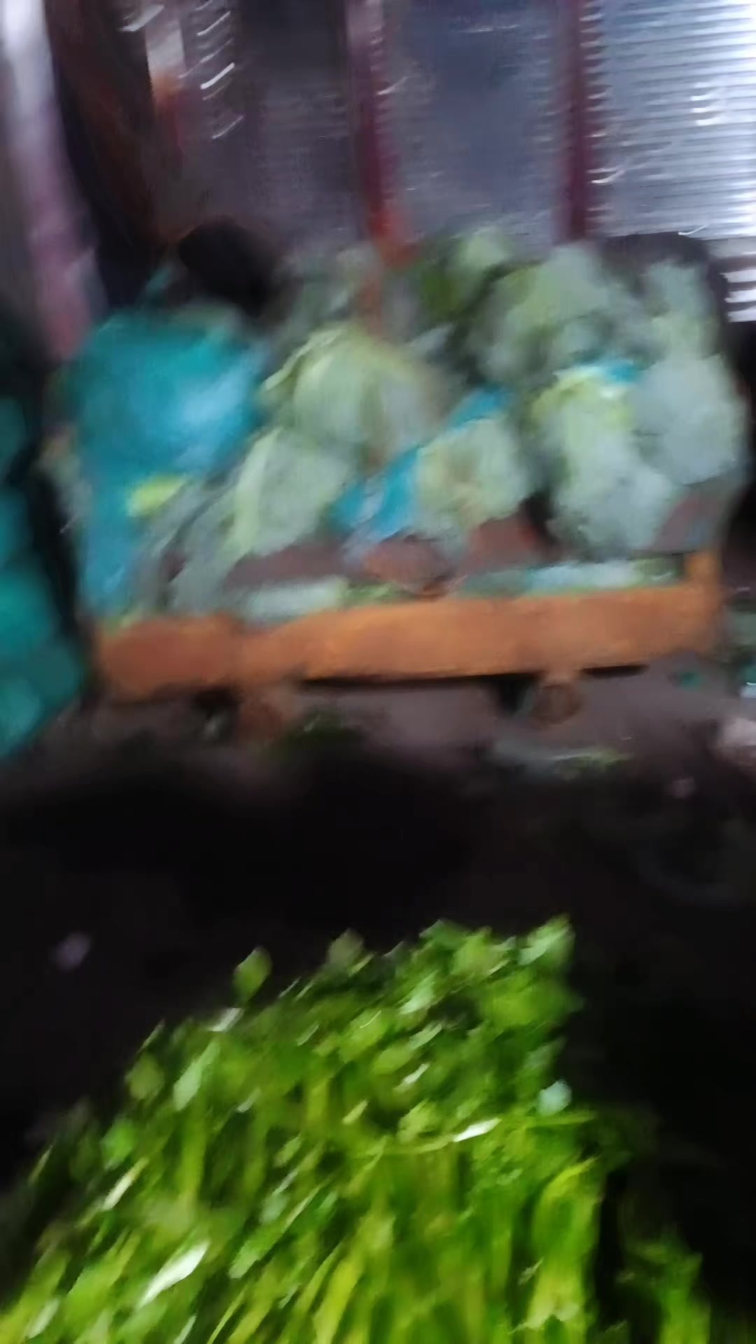 @🖤⃝🇲🇽ᴊᴇꜱꜱɪ𓆩👑𓆪🌹👁️☘️🕊️❤️