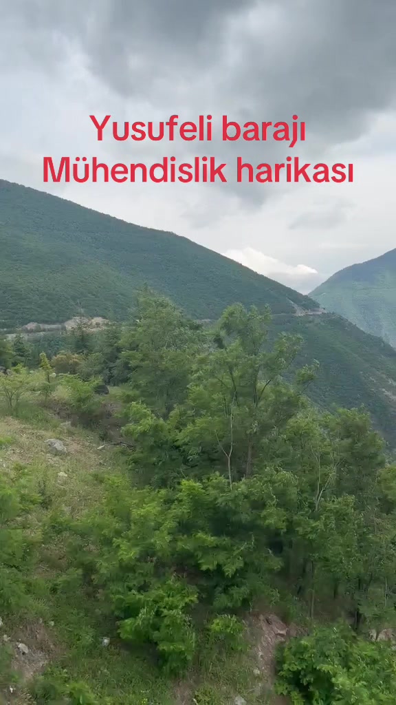 @Şervan Oran