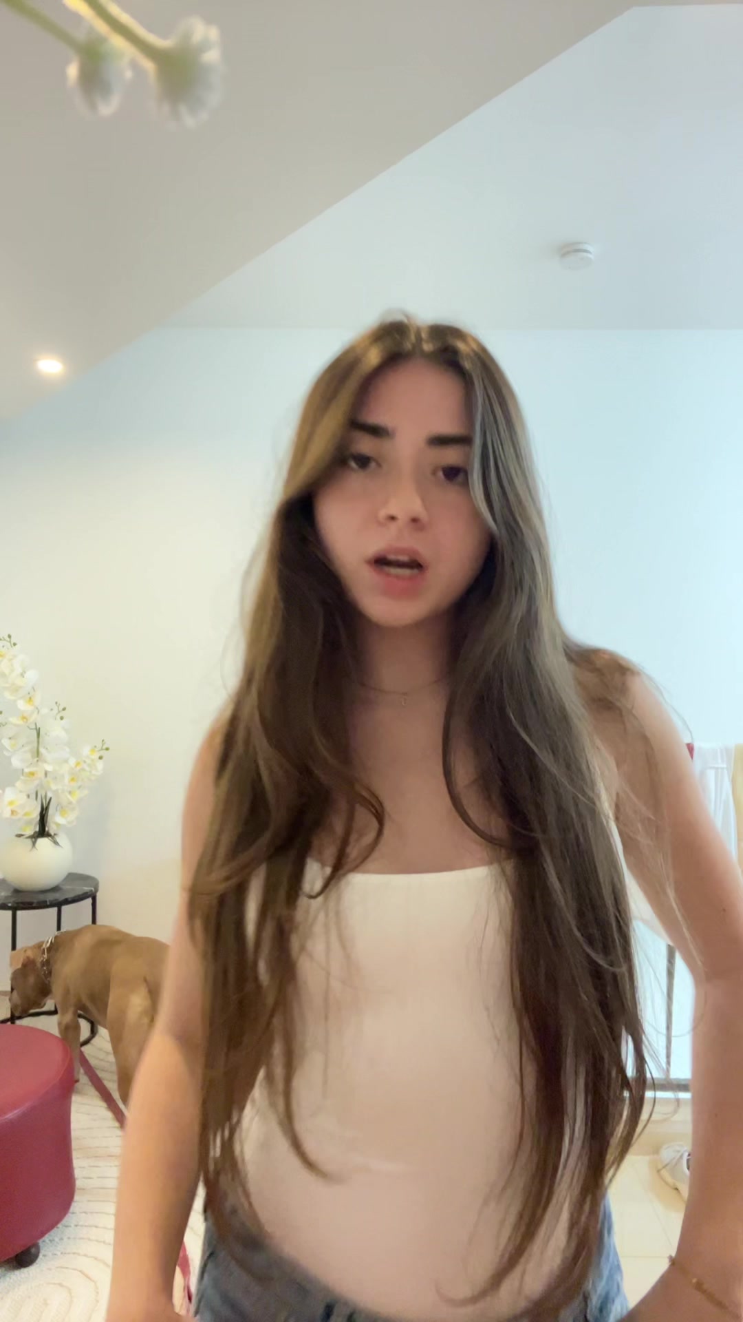 @danabrz610