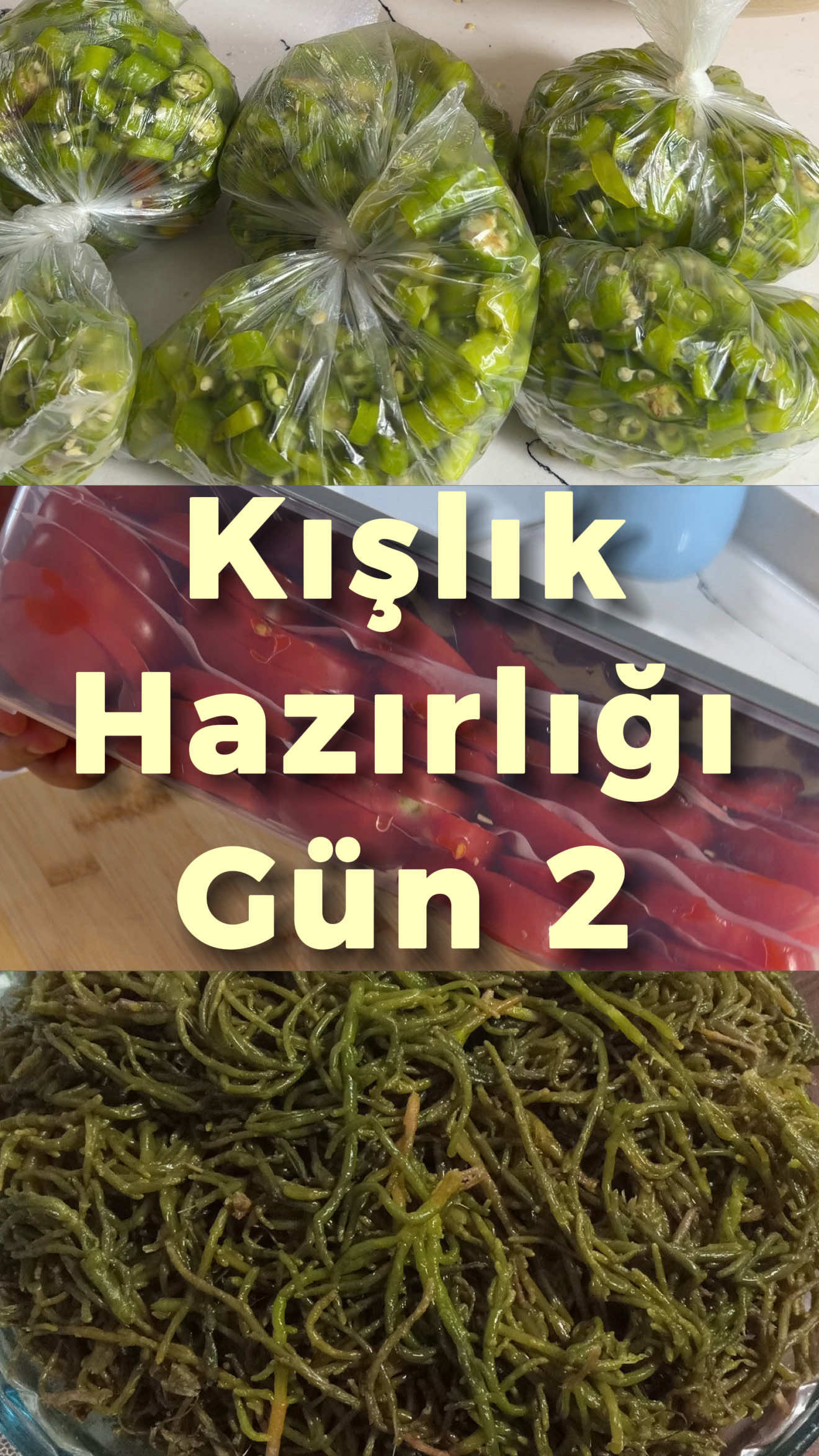 @Hande Üngörgil Molder