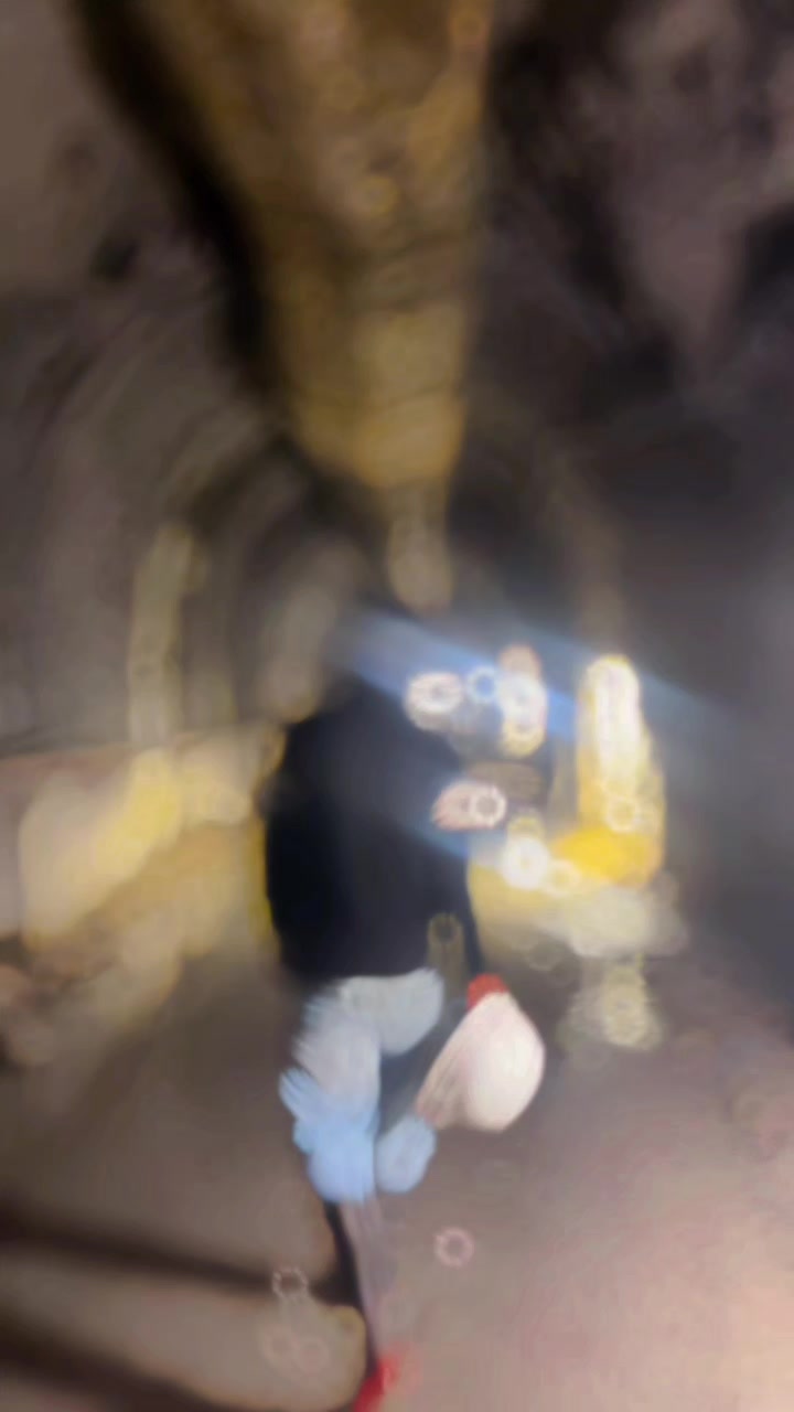 @[Gollu💫🕊️]