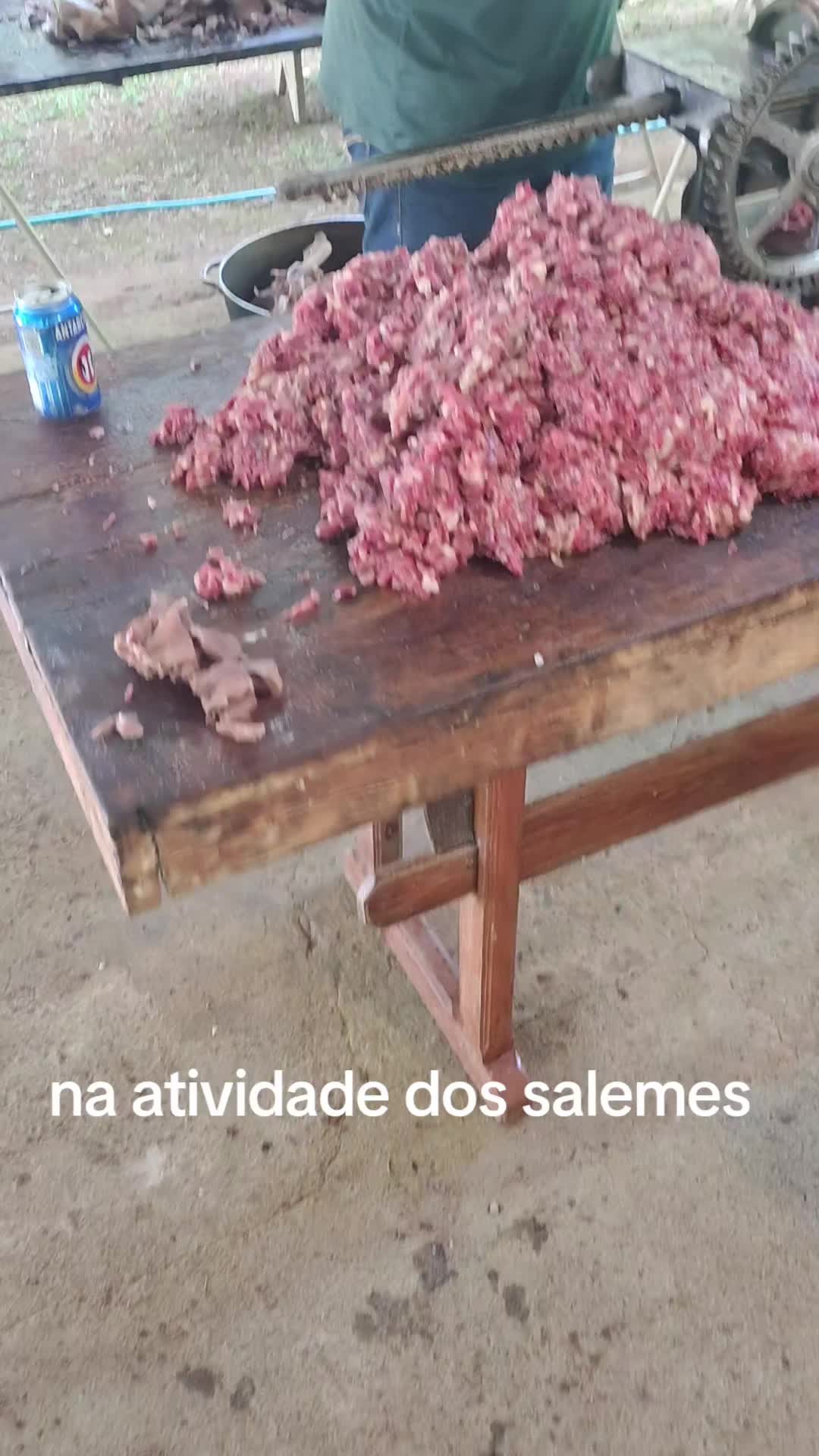 @talrecofka