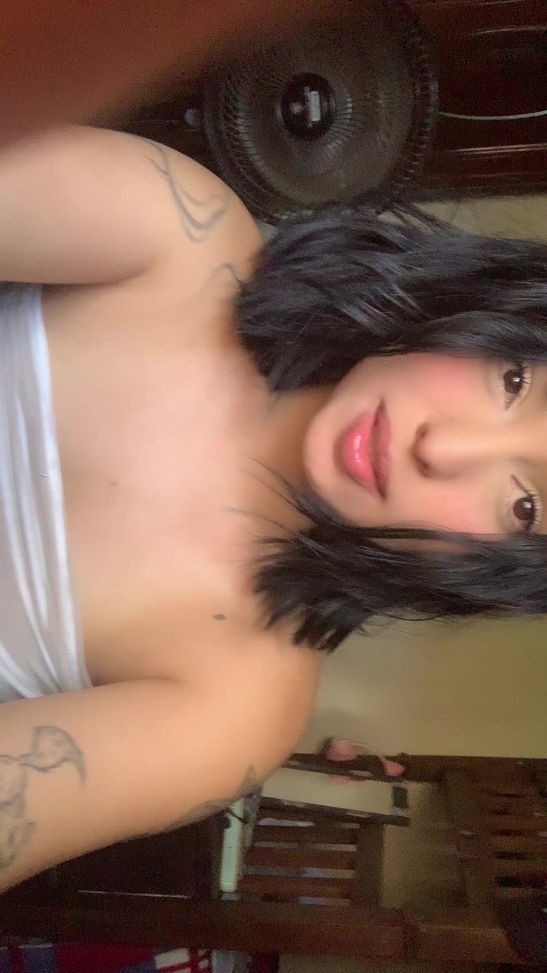 @pollita