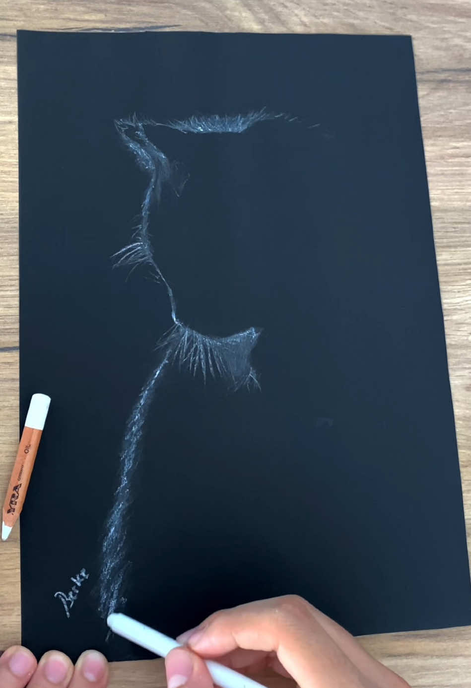 @ArtDSNG