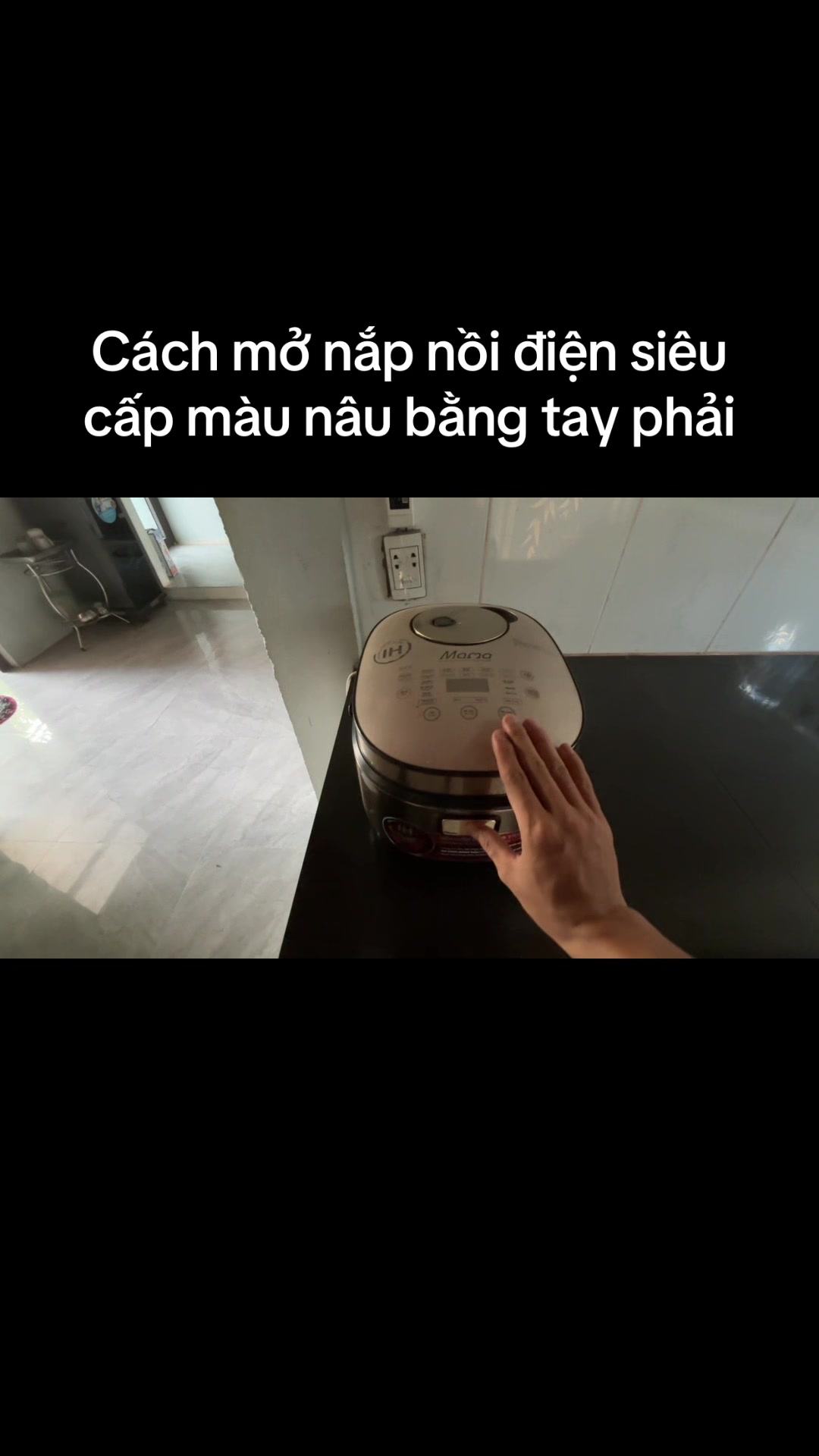 @Mèo thông thái