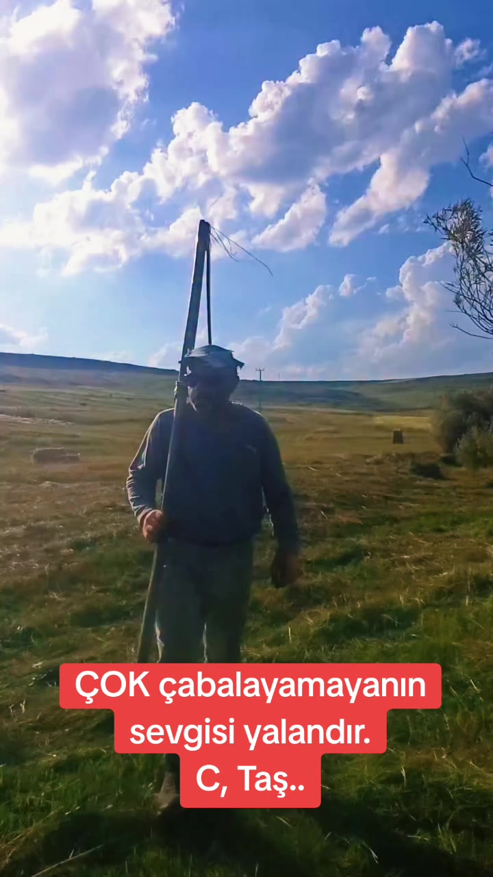 @Cengiz Taş