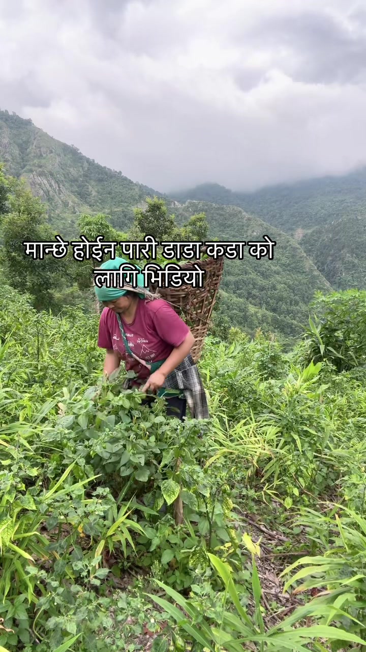 @सुम्निमा राई