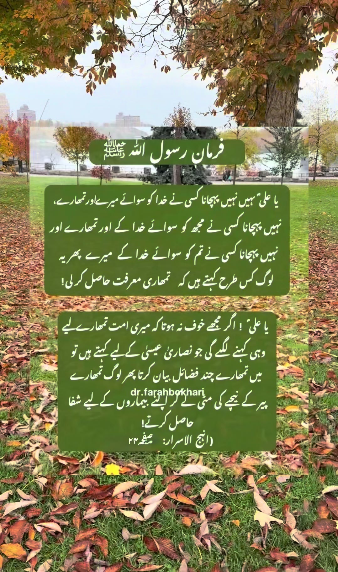 @dr.farahbokhari
