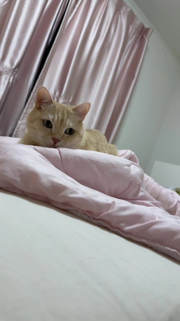 @どこかのだれか