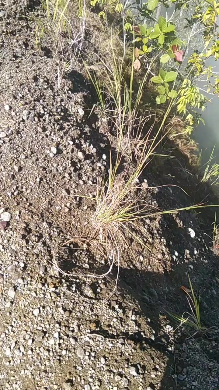 @@felcrisvillarta