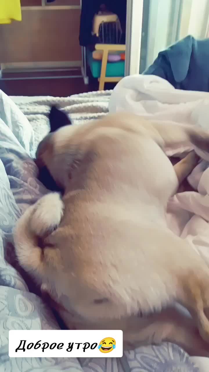 @Хуанита💃