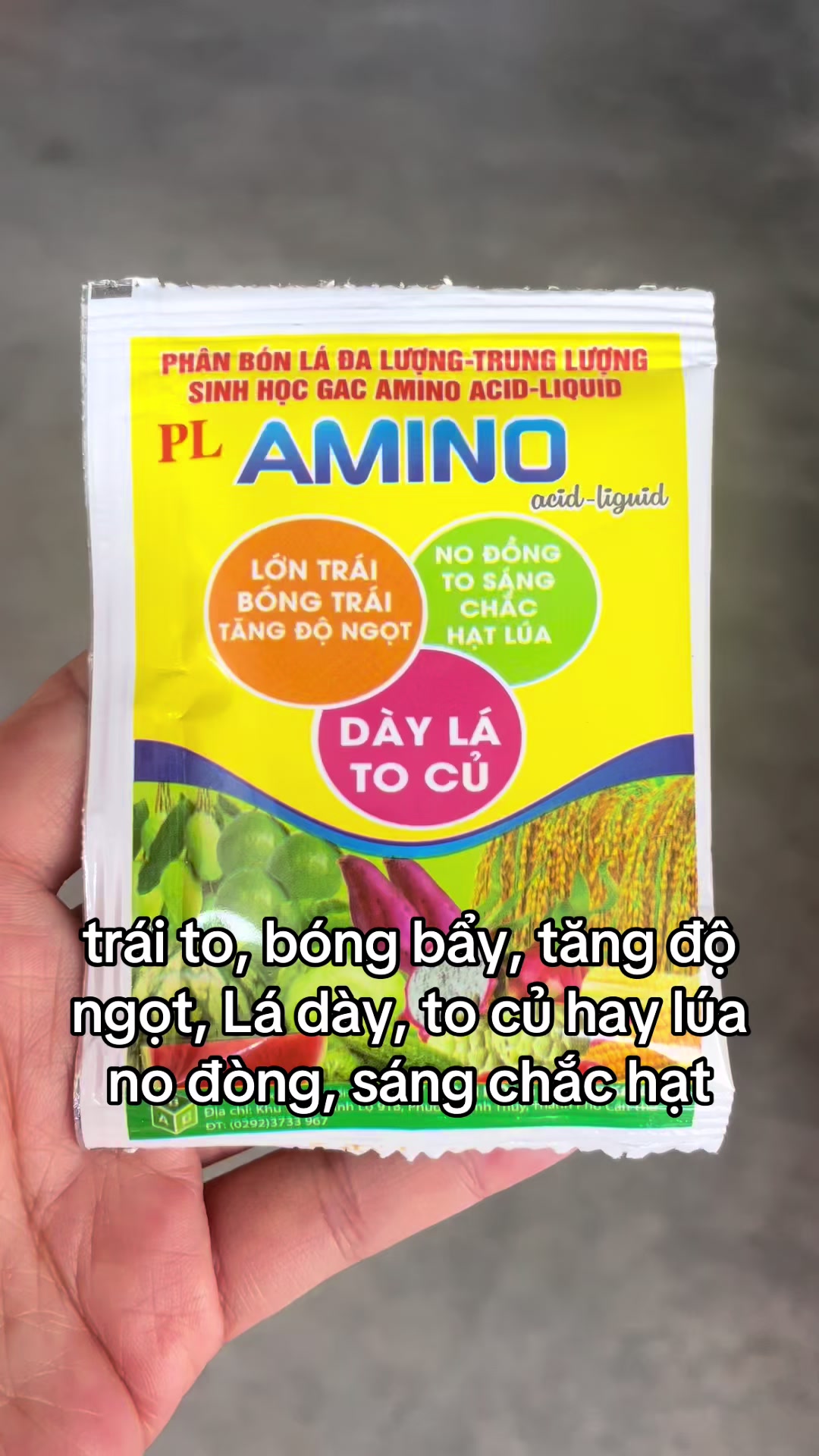 @VTNN Trung Hiếu 1