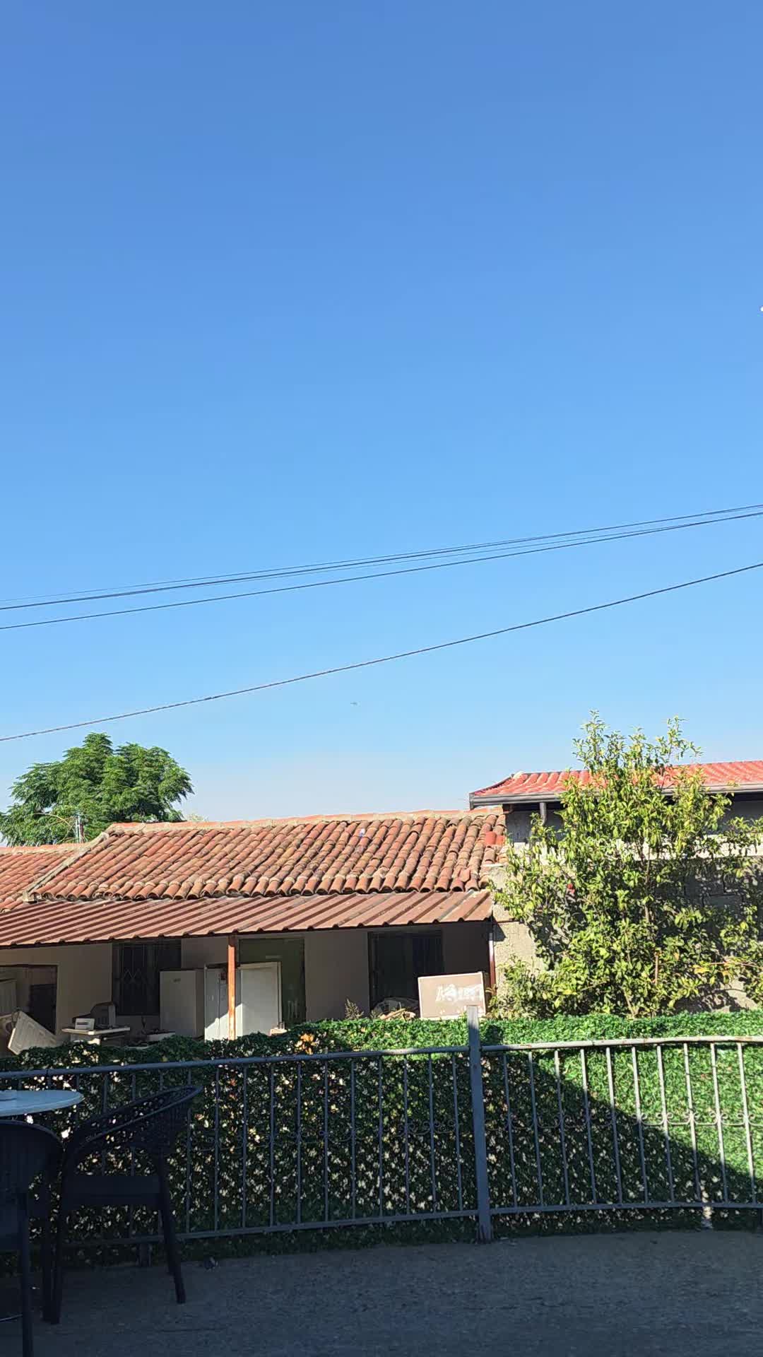 @Klodi Gazulli