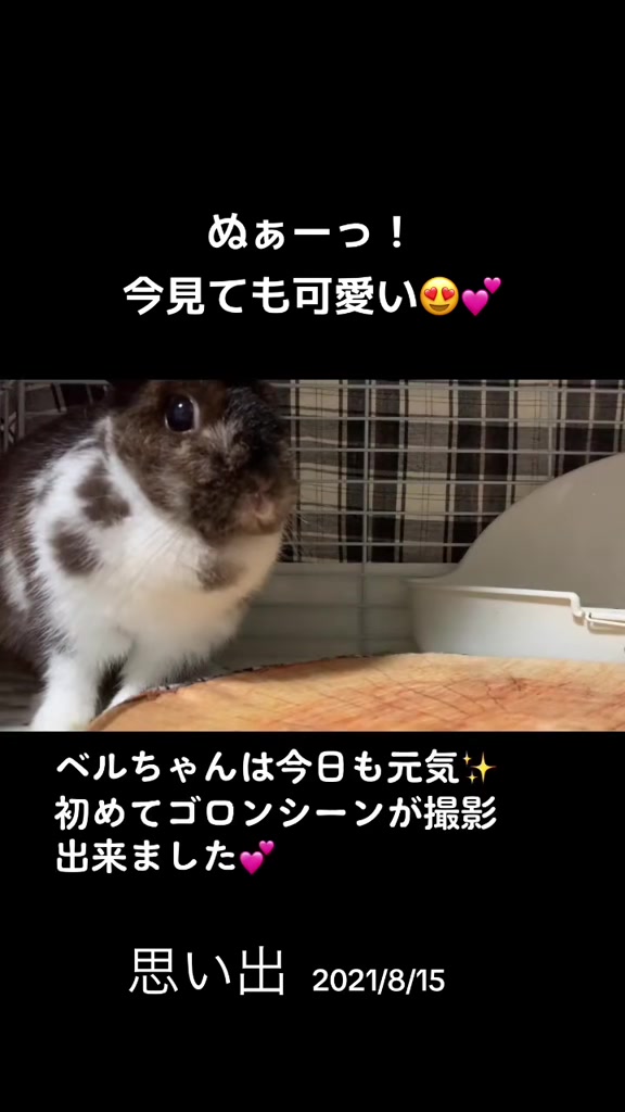 @和風wafu✨🐰🐰🐰🐰👿💕