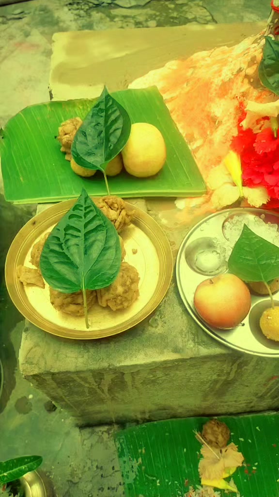 @Mina Shriwasatav
