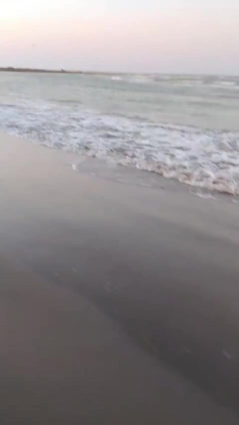 @ELXAN 531