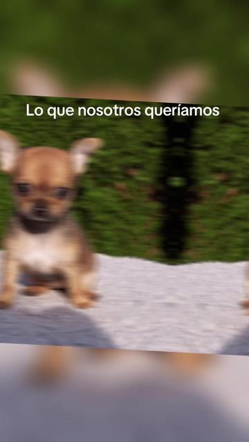 @yossacosta