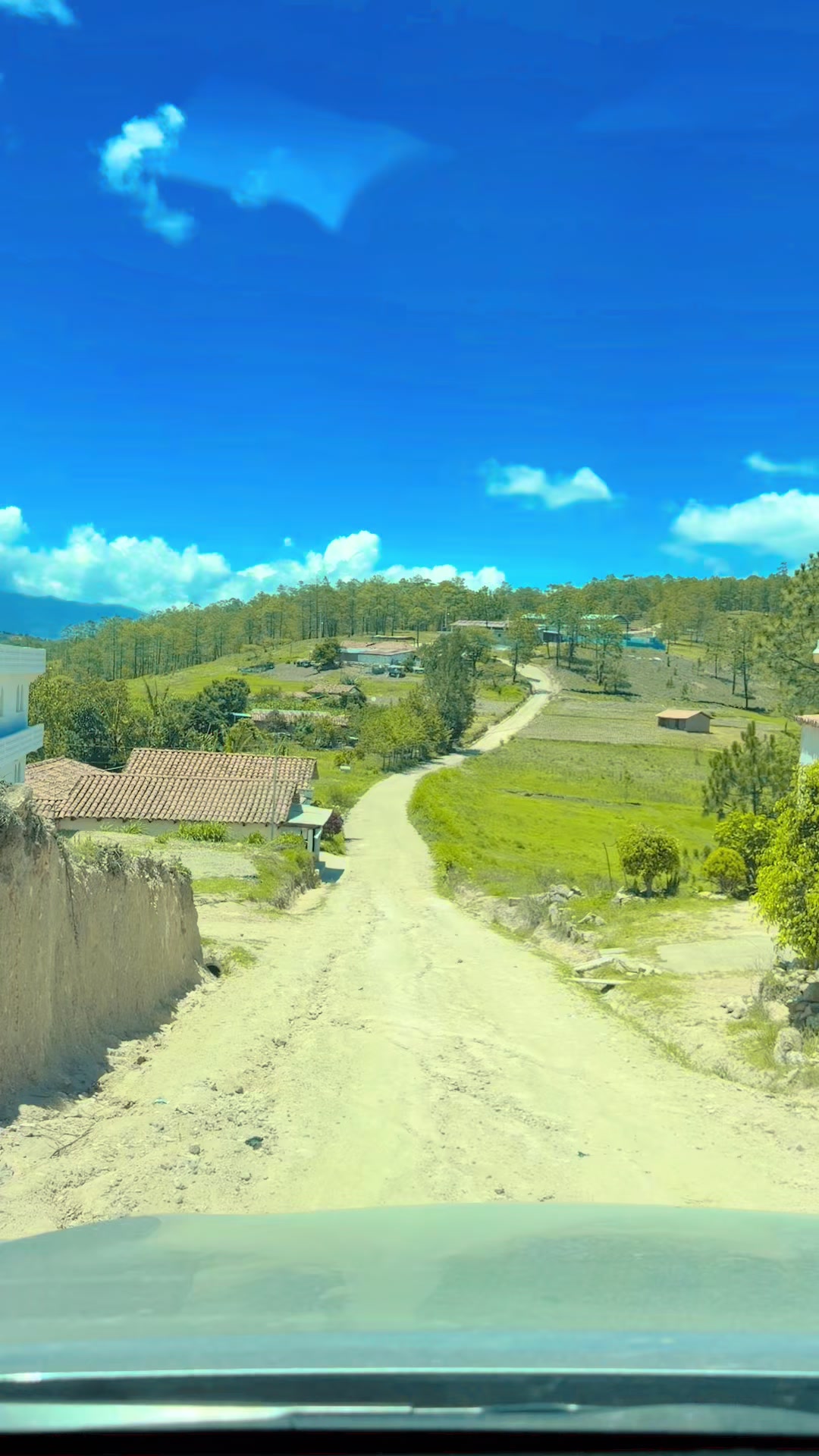 @Armando-Itzep🇬🇹